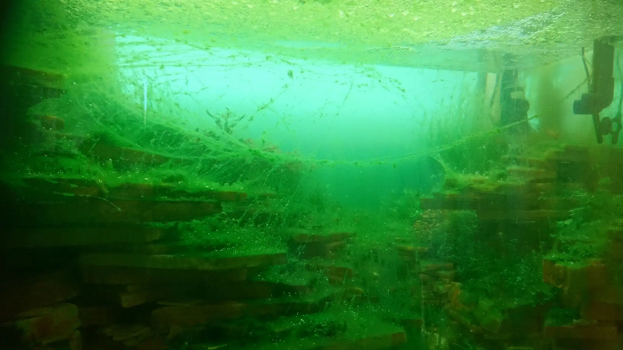 How to make an aquatic plant aquarium ranked 27th in the world - IAPLC 2018 - Place of fascinatin