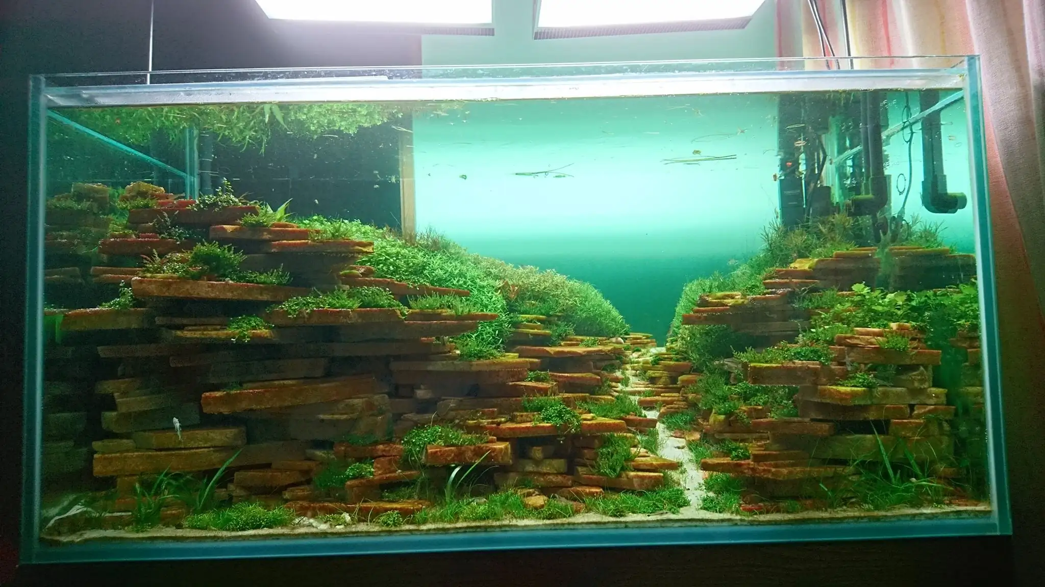 How to make an aquatic plant aquarium ranked 27th in the world - IAPLC 2018 - Place of fascinatin