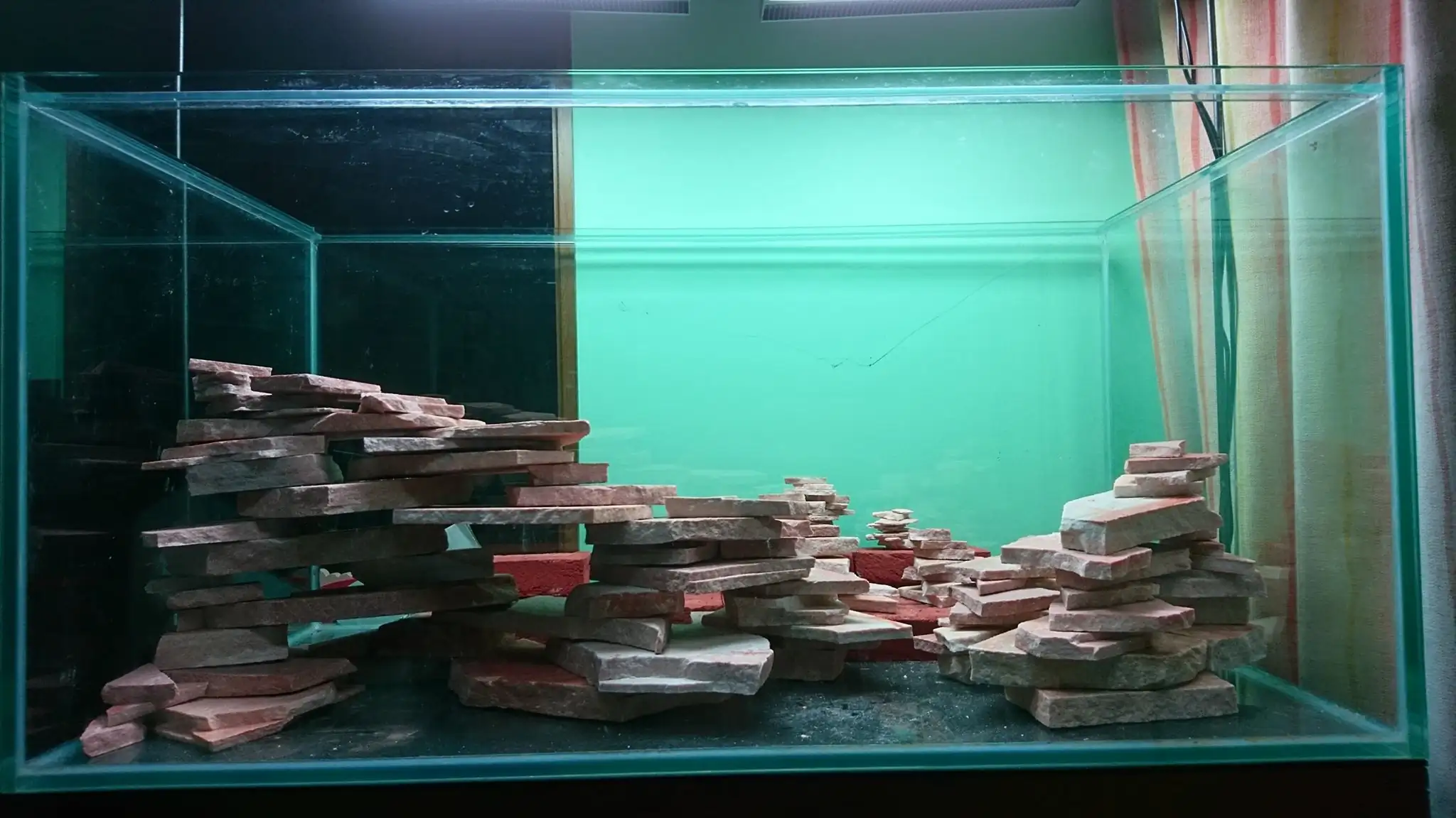 How to make an aquatic plant aquarium ranked 27th in the world - IAPLC 2018 - Place of fascinatin