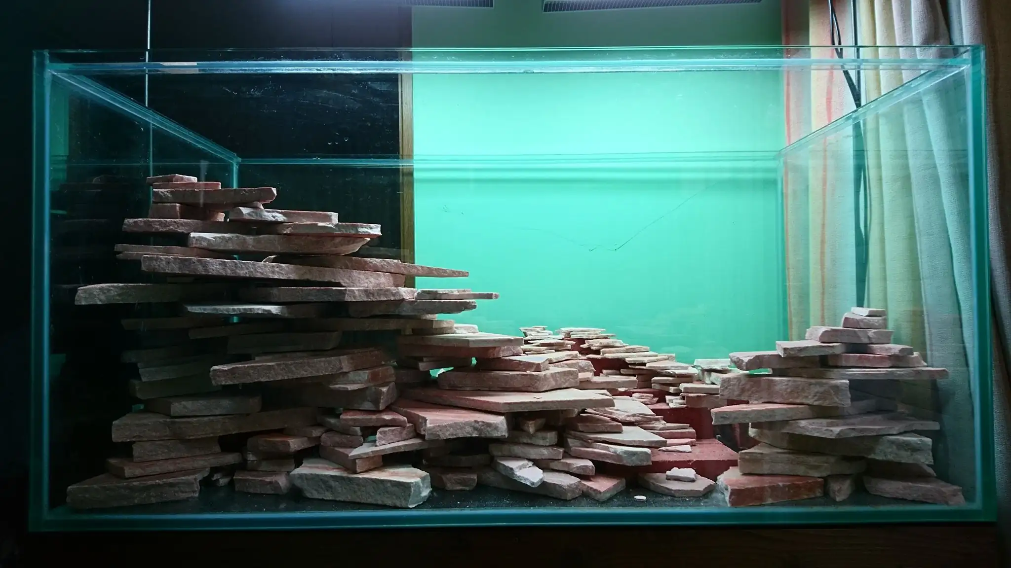 How to make an aquatic plant aquarium ranked 27th in the world - IAPLC 2018 - Place of fascinatin