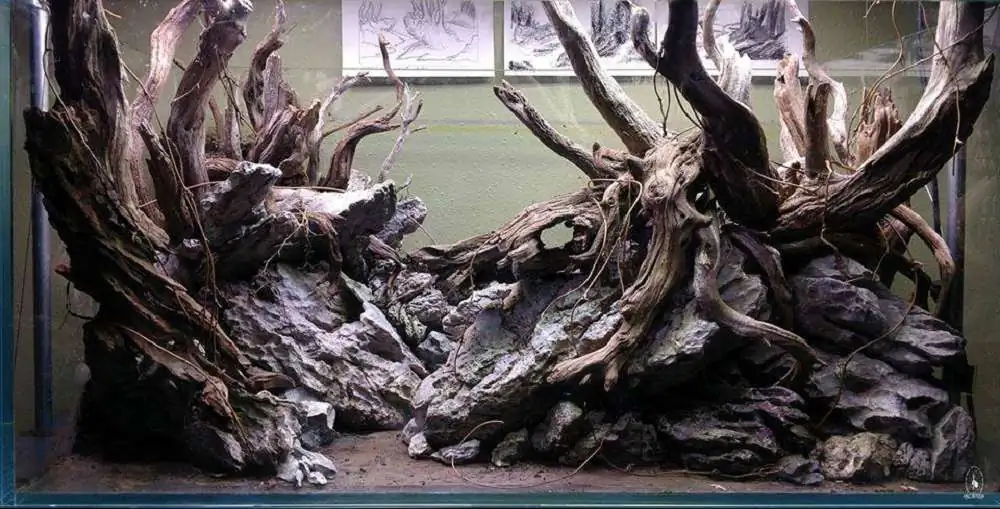 Step by step progression IAPLC 2018 Rank 77 - Ascension