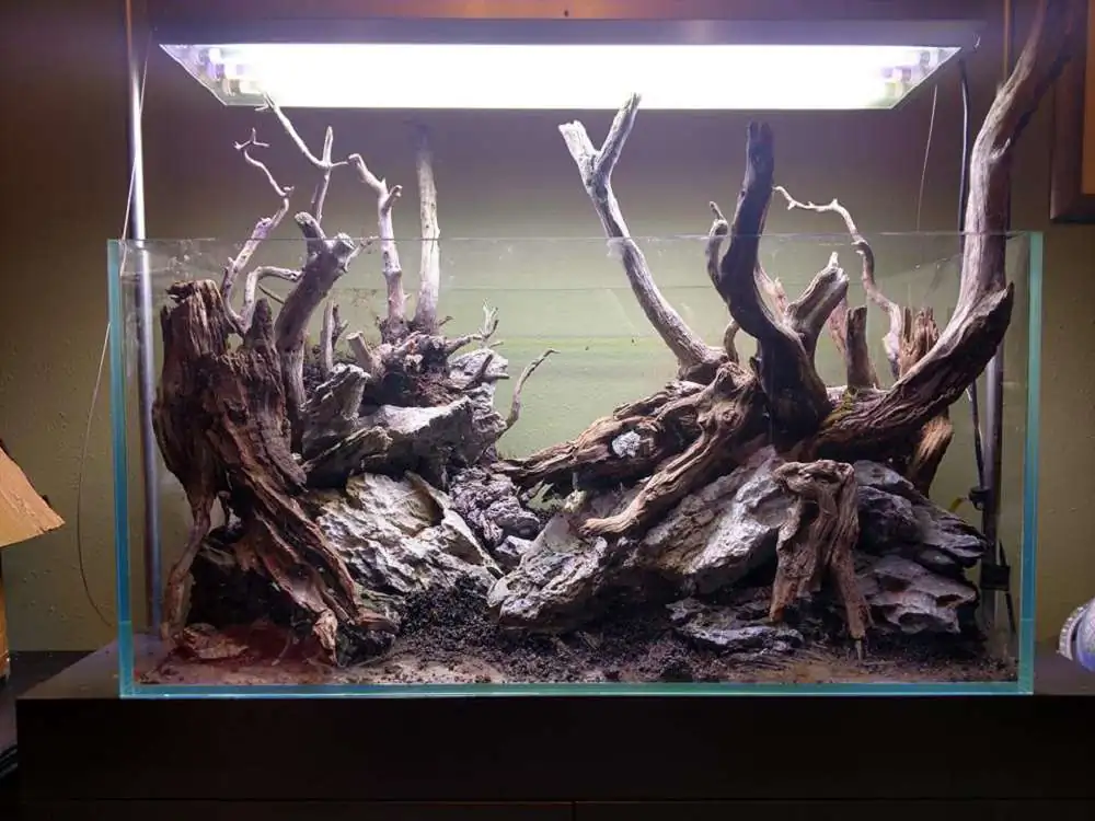 Step by step progression IAPLC 2018 Rank 77 - Ascension