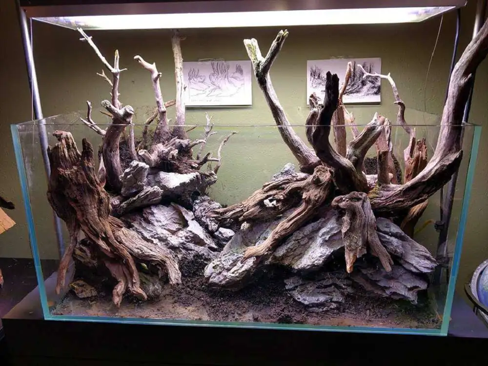 Step by step progression IAPLC 2018 Rank 77 - Ascension