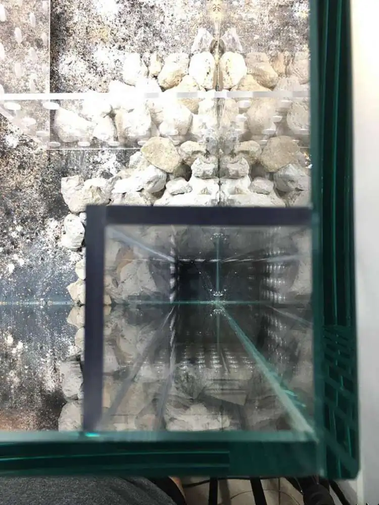 Step by step progression IAPLC 2018 Rank 88 - Delirium 