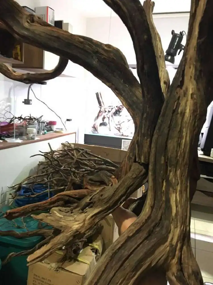 Step by step progression IAPLC 2018 Rank 88 - Delirium 