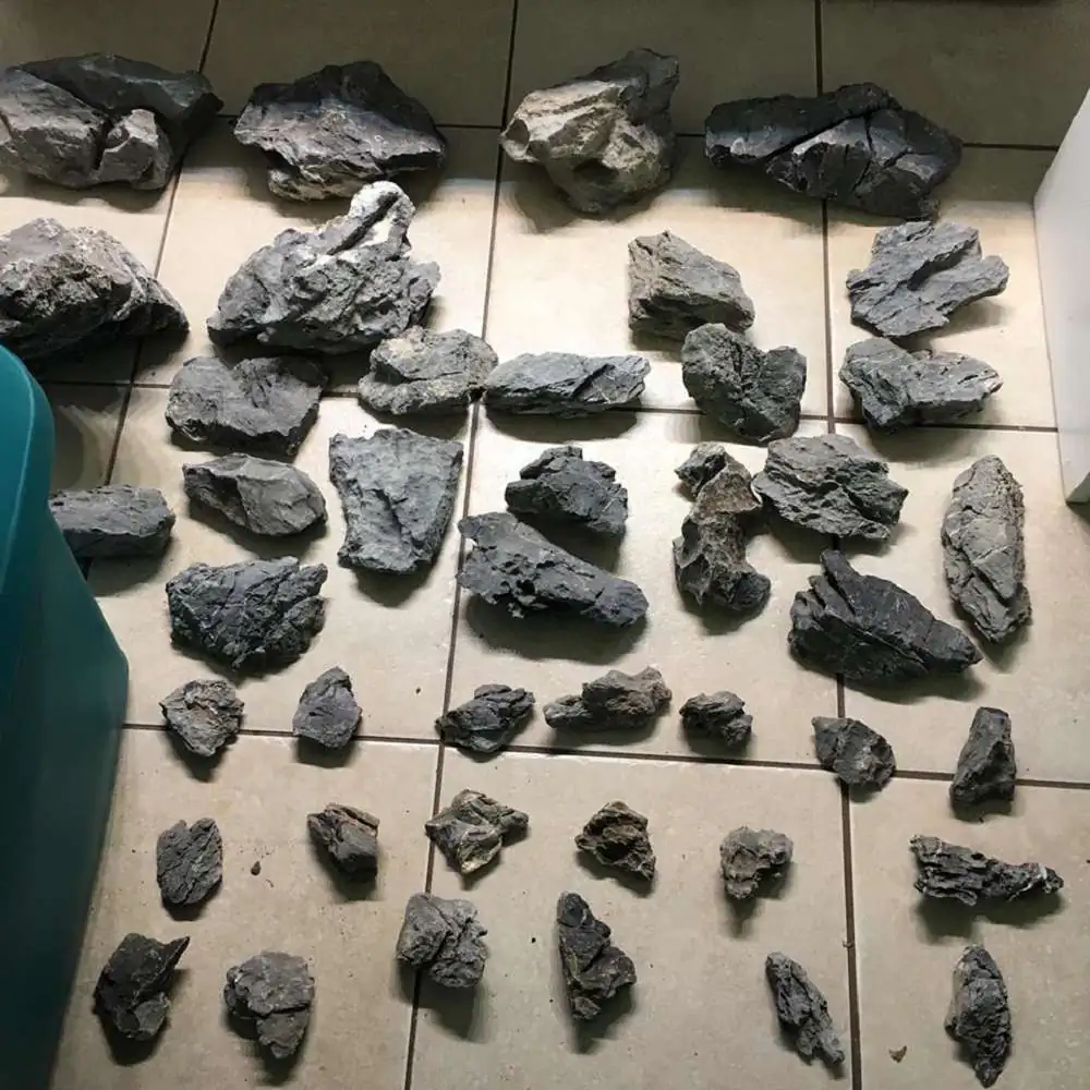 Step by step progression IAPLC 2018 Rank 88 - Delirium 