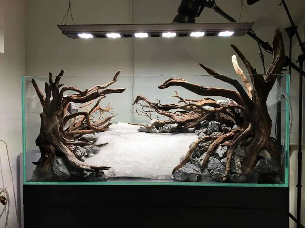 Step by step progression IAPLC 2018 Rank 88 - Delirium 