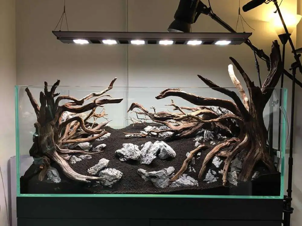 Step by step progression IAPLC 2018 Rank 88 - Delirium 