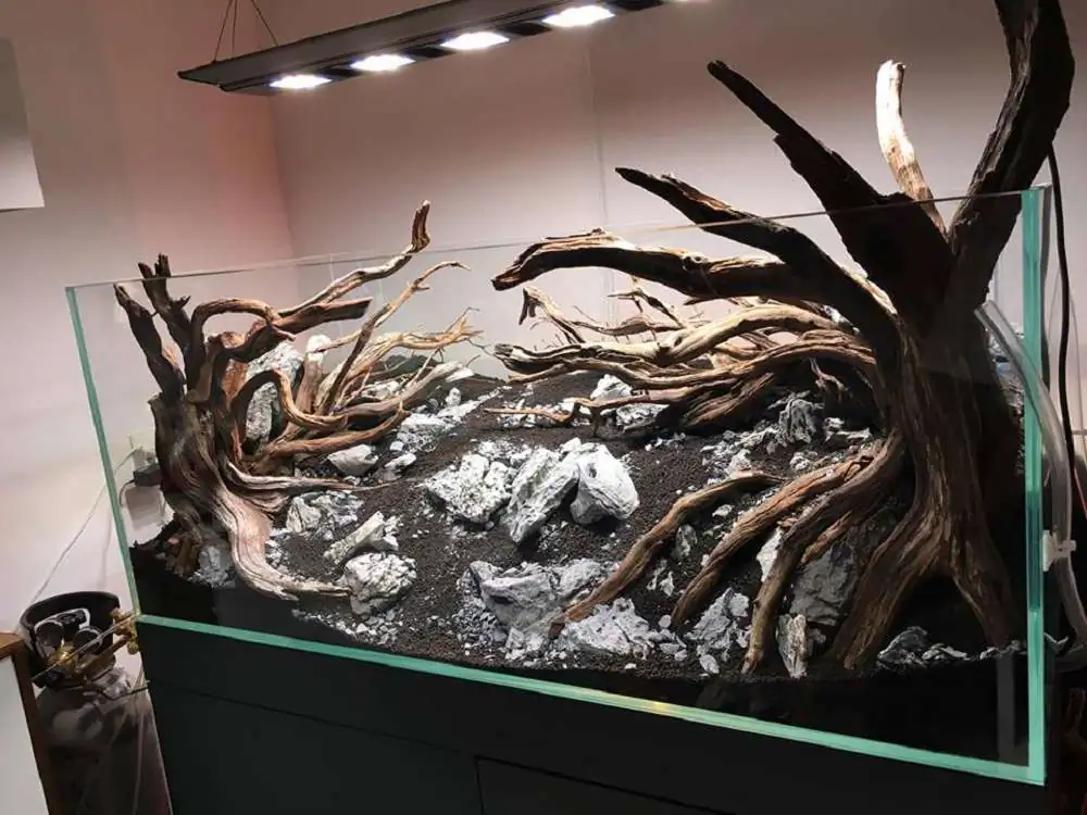 Step by step progression IAPLC 2018 Rank 88 - Delirium 