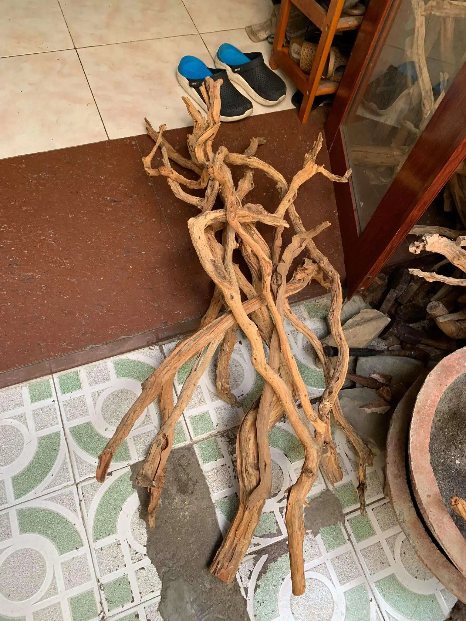 Step by step progression IAPLC 2020 Rank 107 - Wild Sound