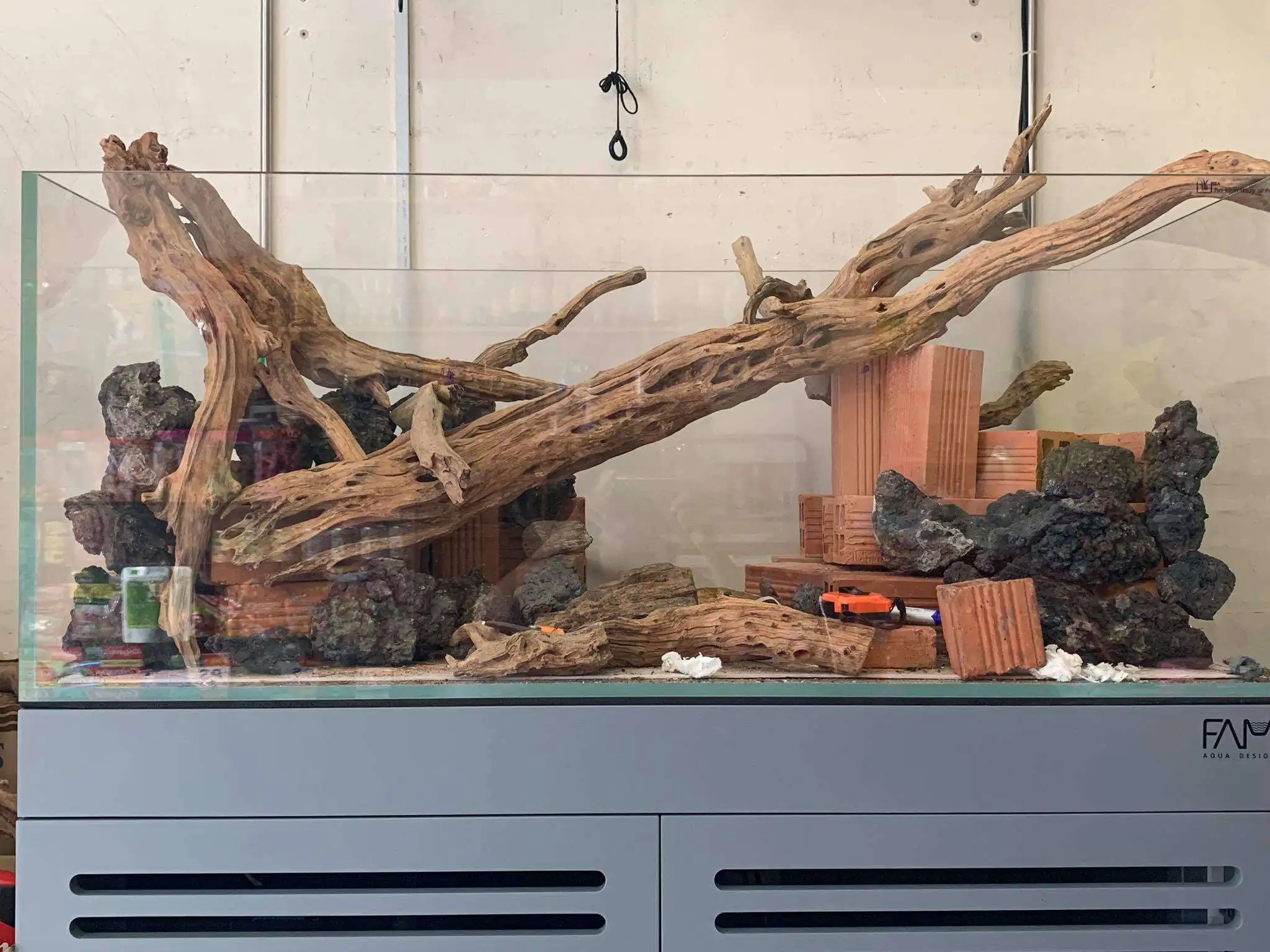 Step by step progression IAPLC 2020 Rank 107 - Wild Sound