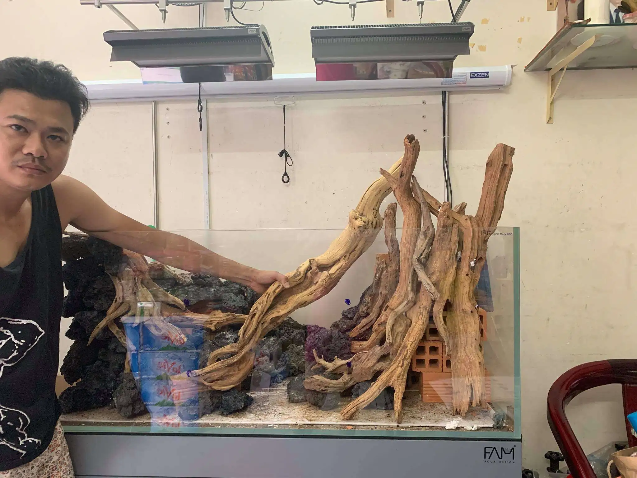 Step by step progression IAPLC 2020 Rank 107 - Wild Sound