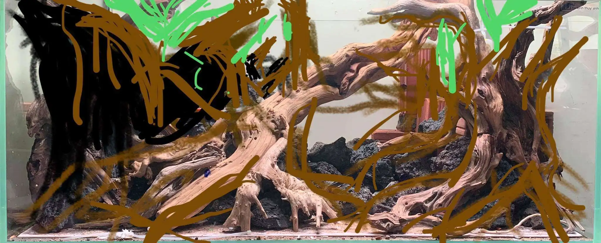 Step by step progression IAPLC 2020 Rank 107 - Wild Sound