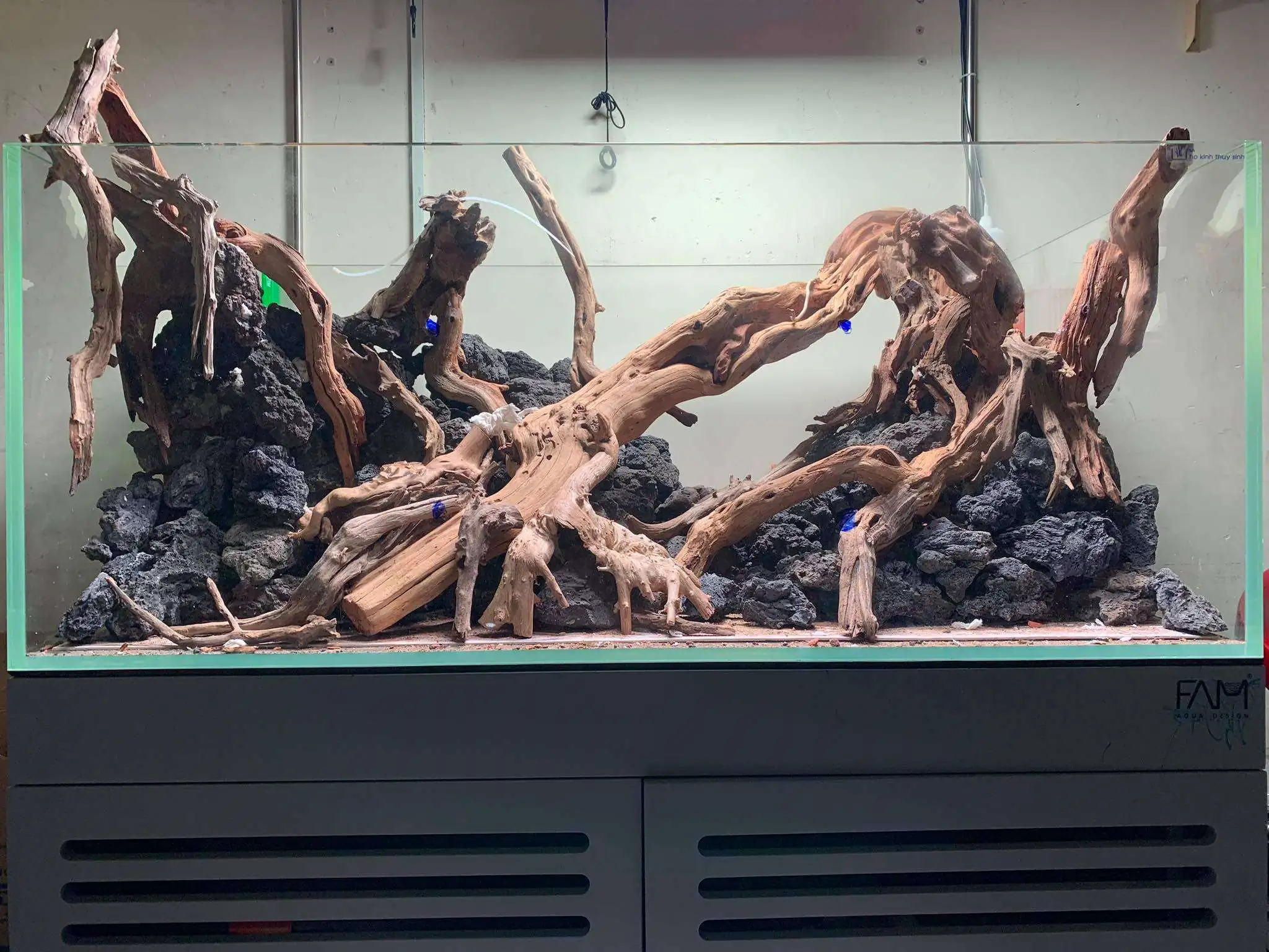 Step by step progression IAPLC 2020 Rank 107 - Wild Sound