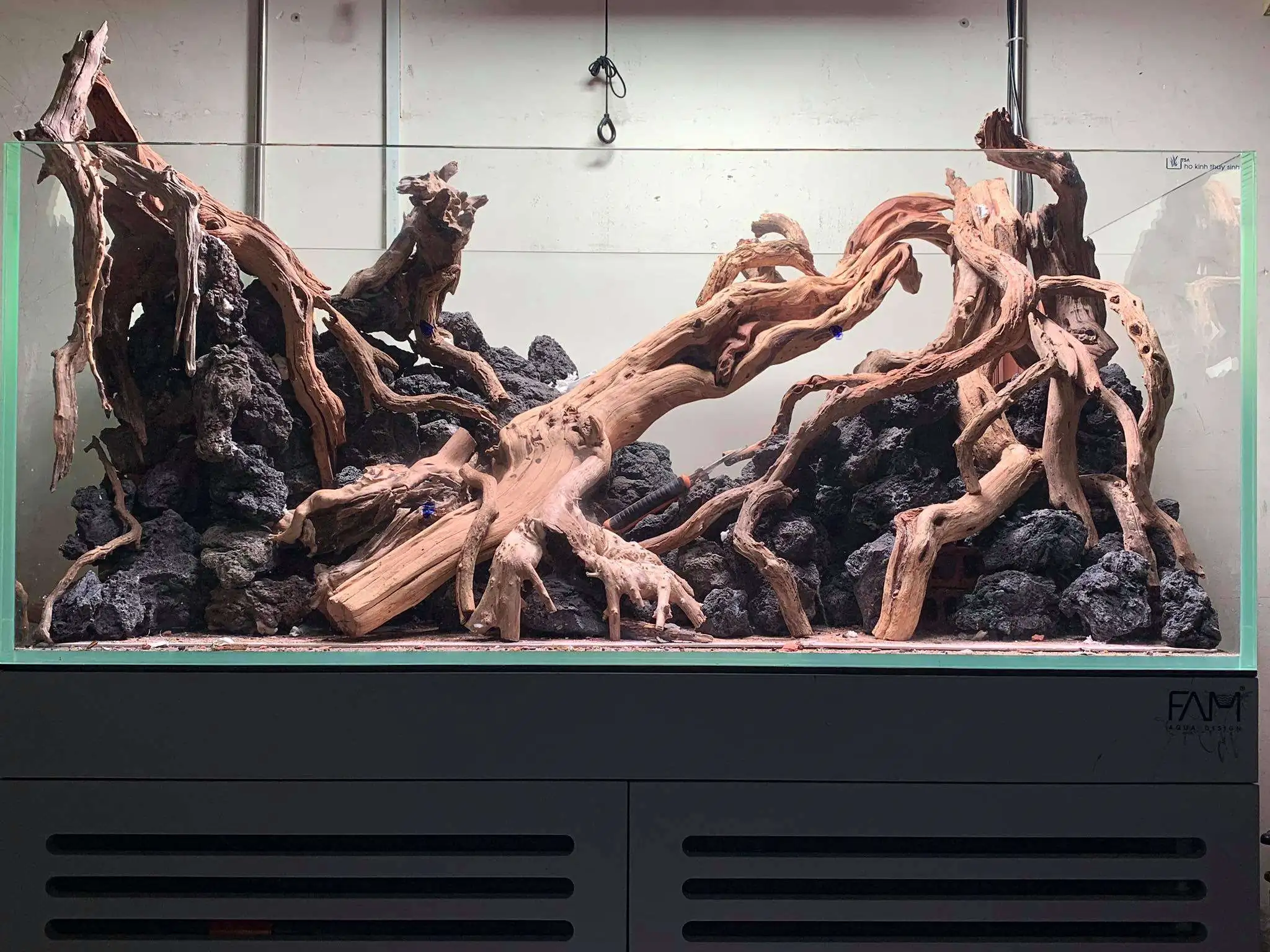 Step by step progression IAPLC 2020 Rank 107 - Wild Sound