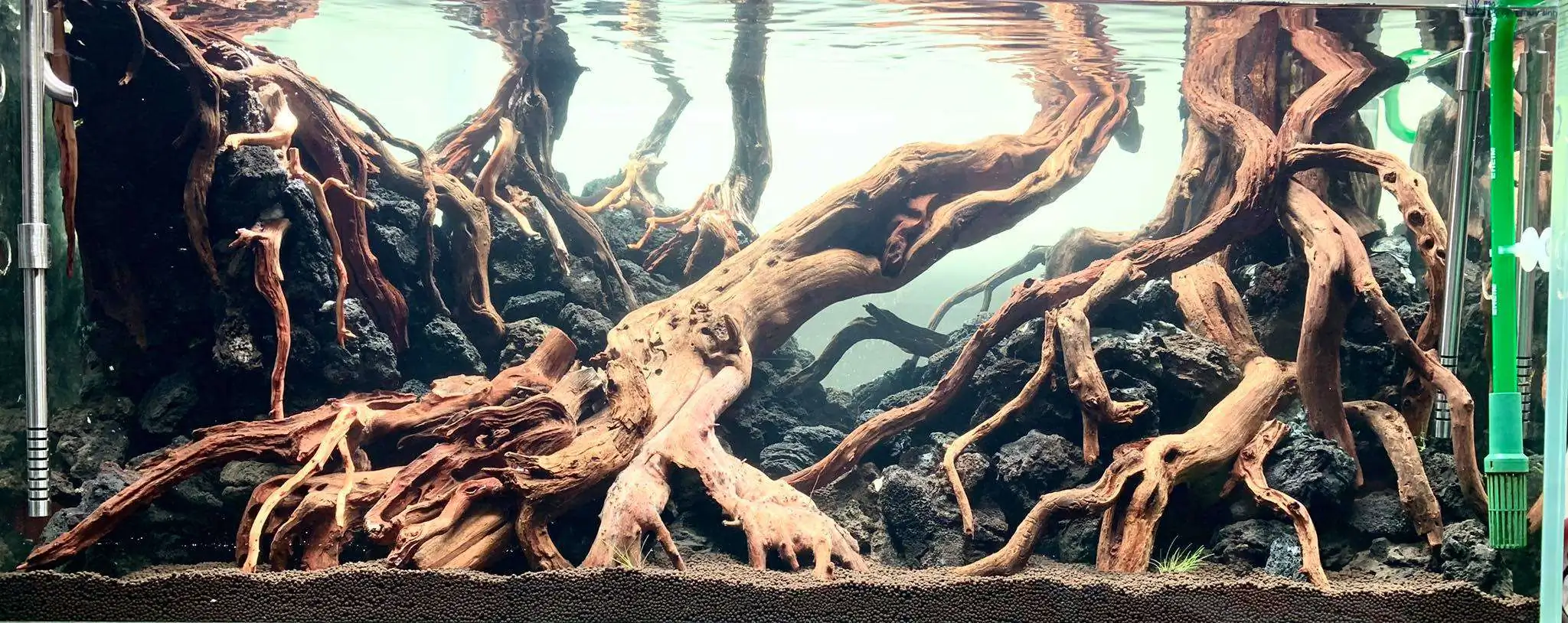 Step by step progression IAPLC 2020 Rank 107 - Wild Sound