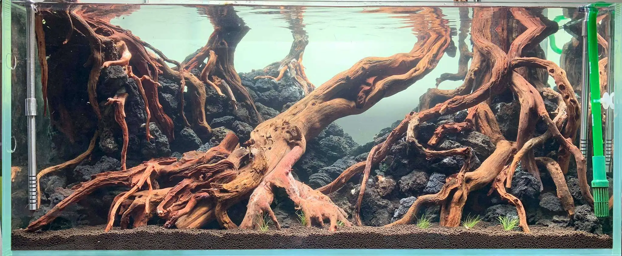 Step by step progression IAPLC 2020 Rank 107 - Wild Sound