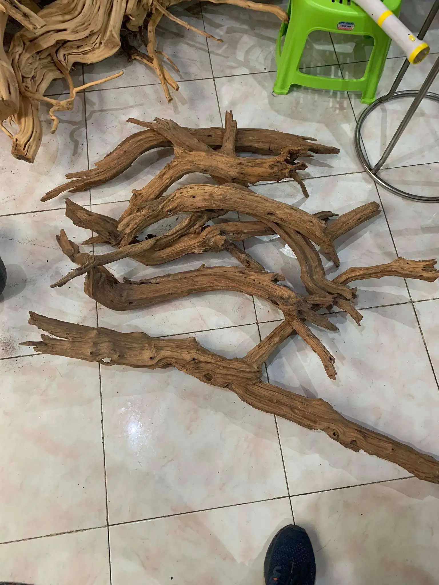 Step by step progression IAPLC 2020 Rank 107 - Wild Sound