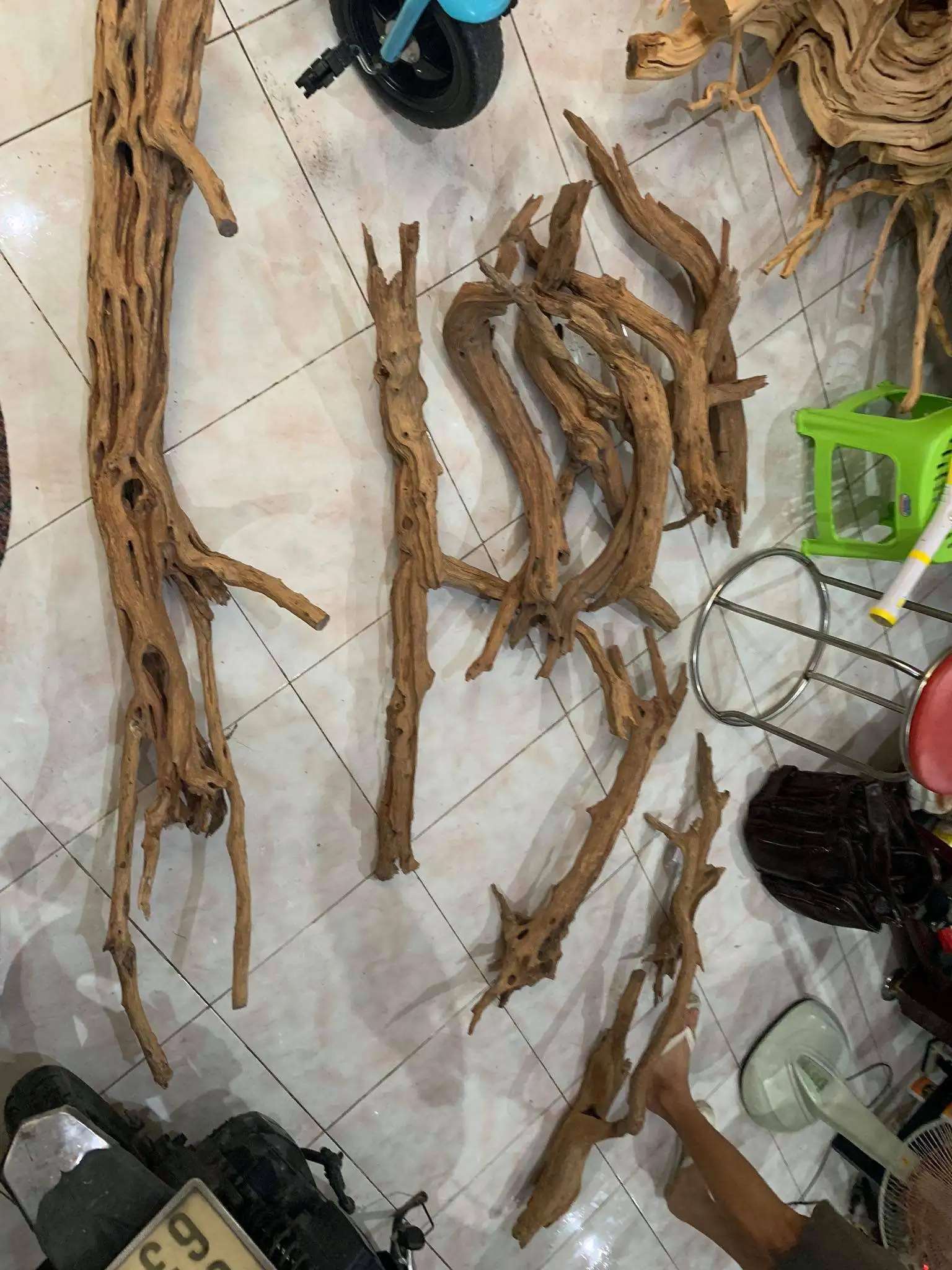 Step by step progression IAPLC 2020 Rank 107 - Wild Sound