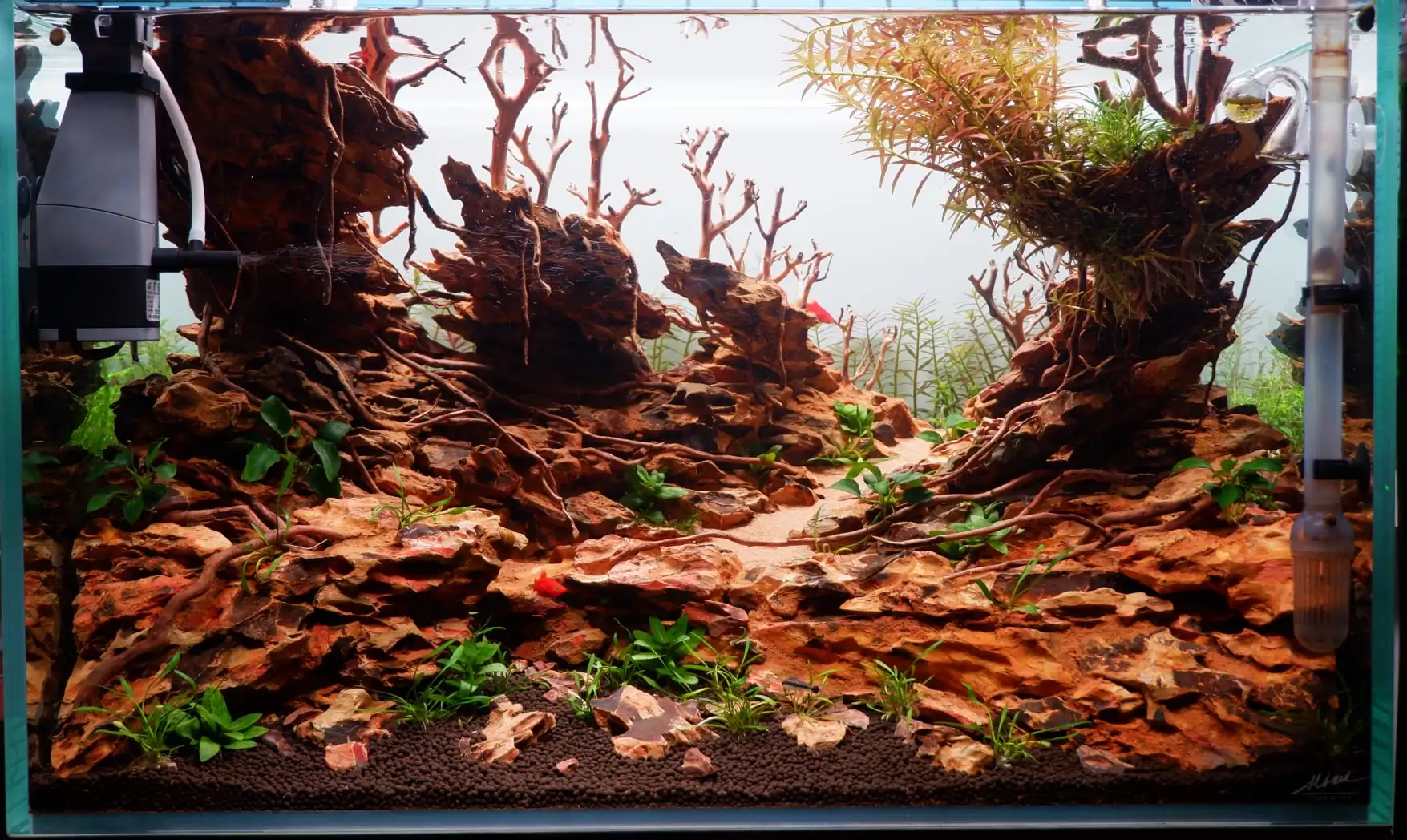 How to make nature aquarium - IAPLC 2020 Rank 228 - Into the Sky
