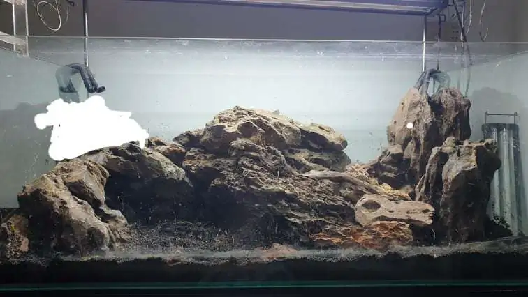 Step by step progression IAPLC 2020 Rank 254 - When the flood passed