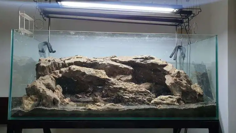 Step by step progression IAPLC 2020 Rank 254 - When the flood passed