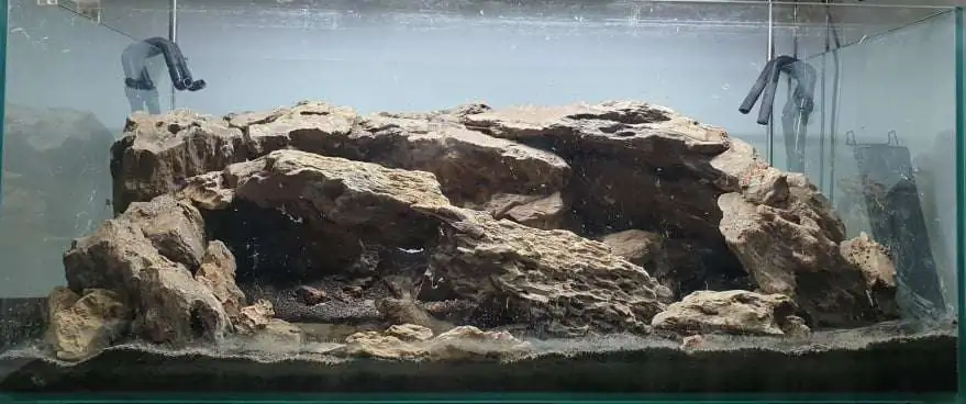 Step by step progression IAPLC 2020 Rank 254 - When the flood passed