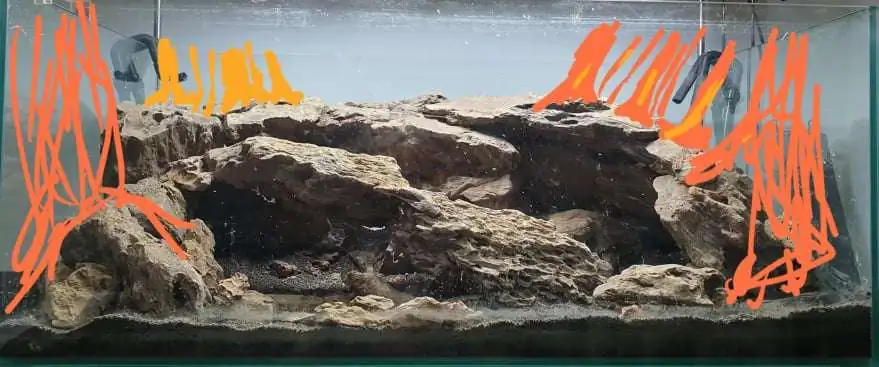 Step by step progression IAPLC 2020 Rank 254 - When the flood passed