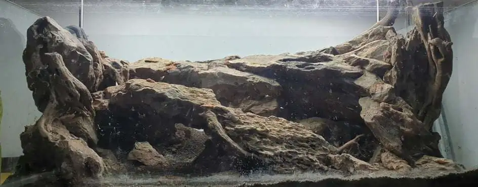 Step by step progression IAPLC 2020 Rank 254 - When the flood passed