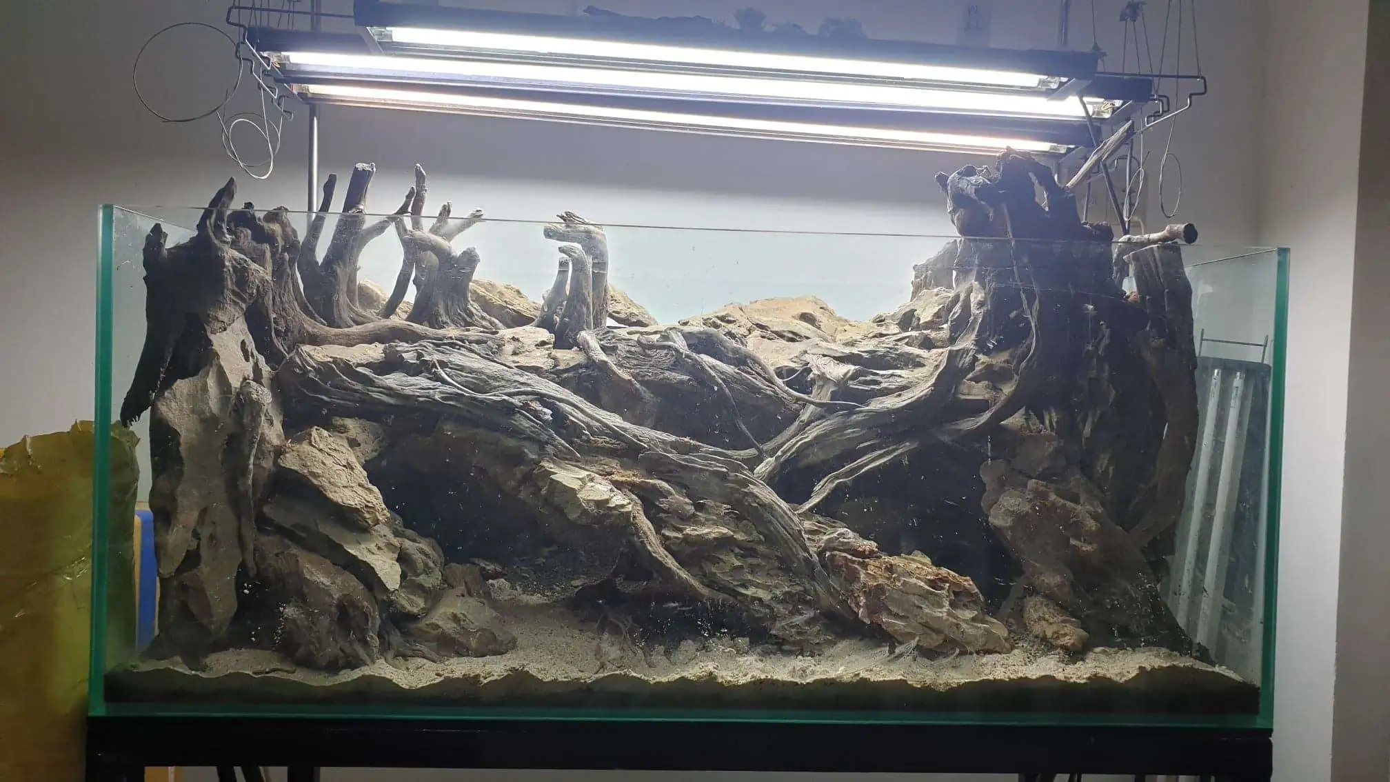 Step by step progression IAPLC 2020 Rank 254 - When the flood passed