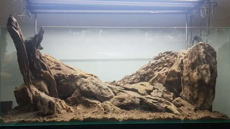 Step by step progression IAPLC 2020 Rank 254 - When the flood passed