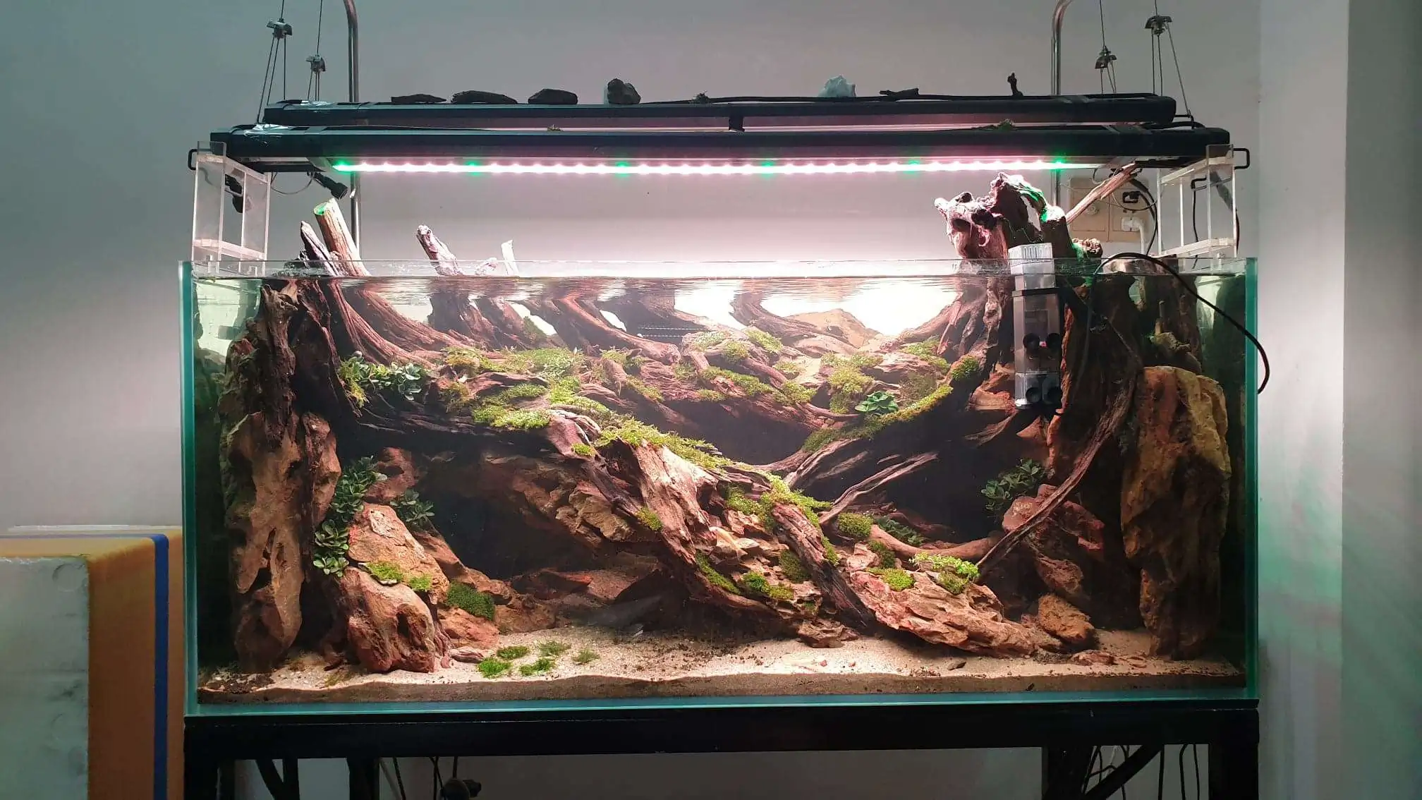 Step by step progression IAPLC 2020 Rank 254 - When the flood passed