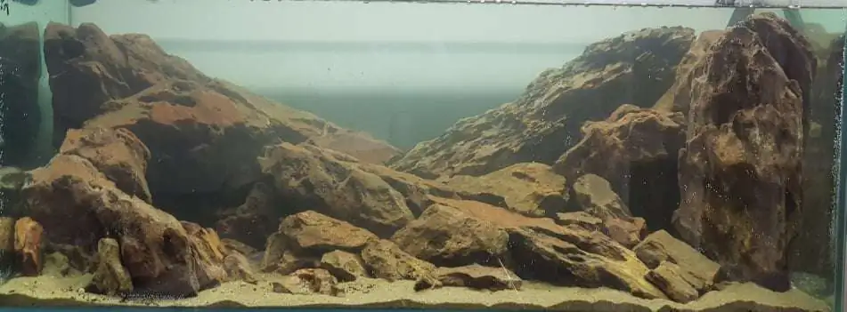 Step by step progression IAPLC 2020 Rank 254 - When the flood passed