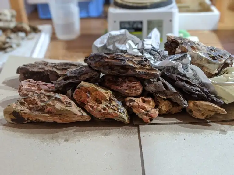 Steps progression IAPLC 2020 Rank 28 Healing Path - Eri Tokusashi / Japan