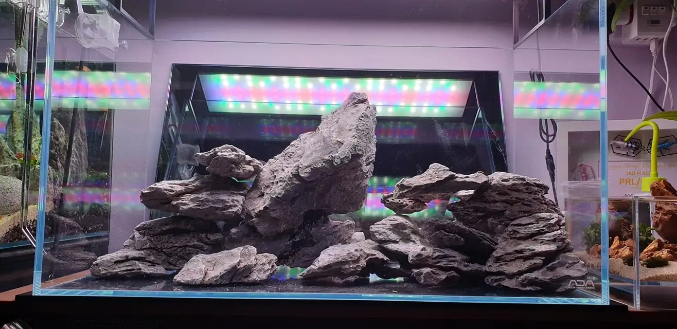 How to make nature aquarium - IAPLC 2020 Rank 289 - The Arising