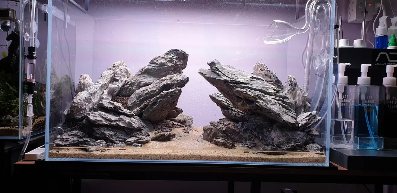 How to make nature aquarium - IAPLC 2020 Rank 289 - The Arising