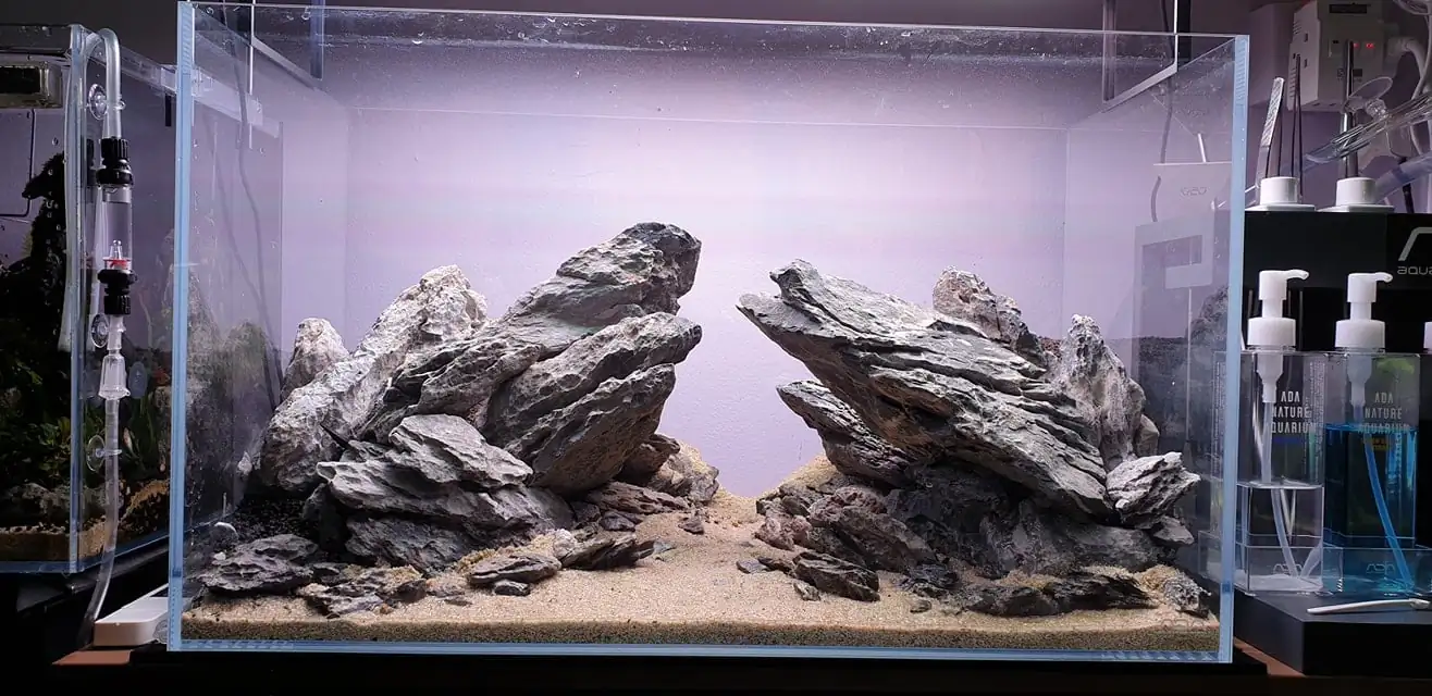 How to make nature aquarium - IAPLC 2020 Rank 289 - The Arising