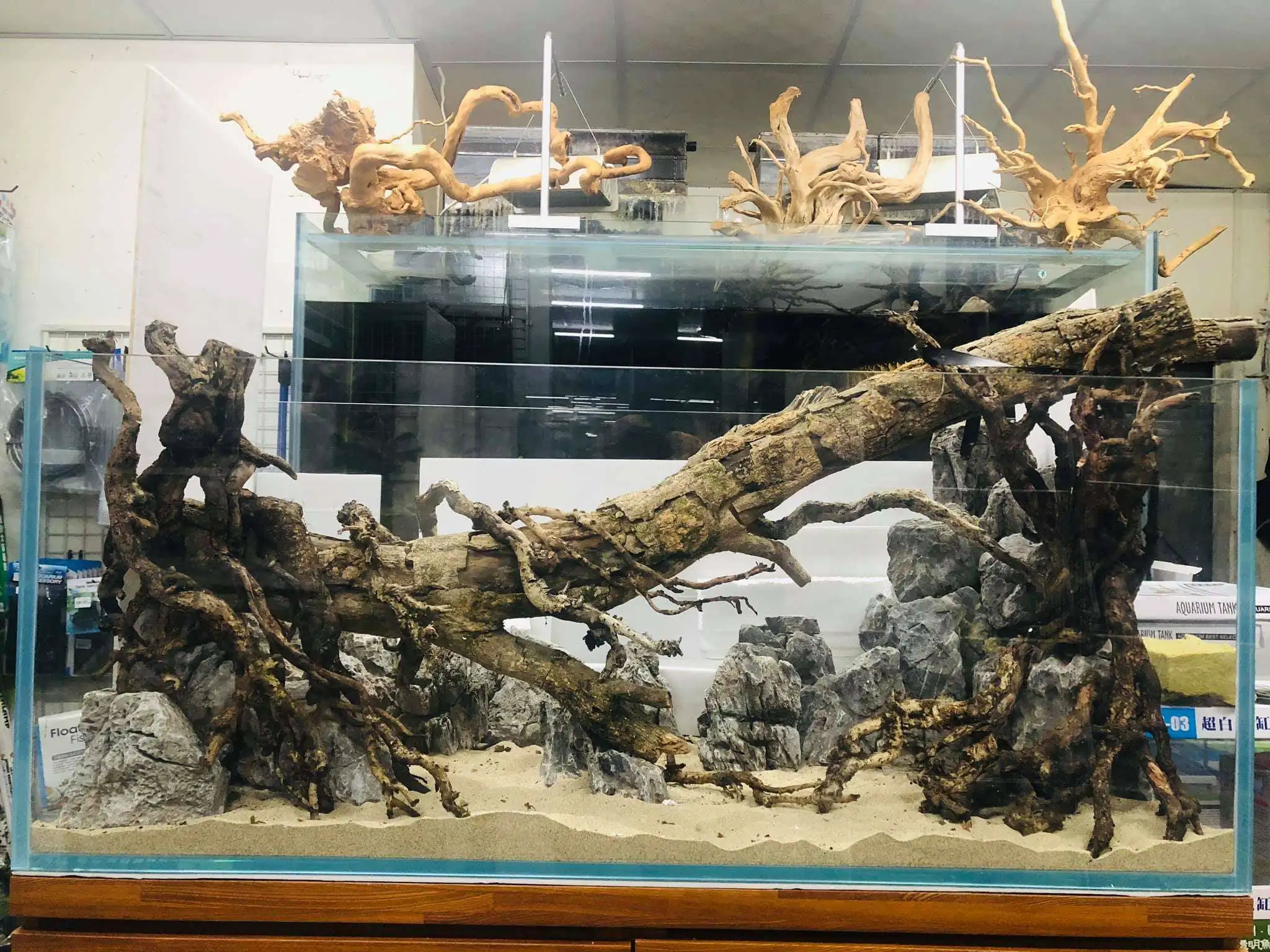 Step by step progression IAPLC 2020 Rank 6 - Traverse