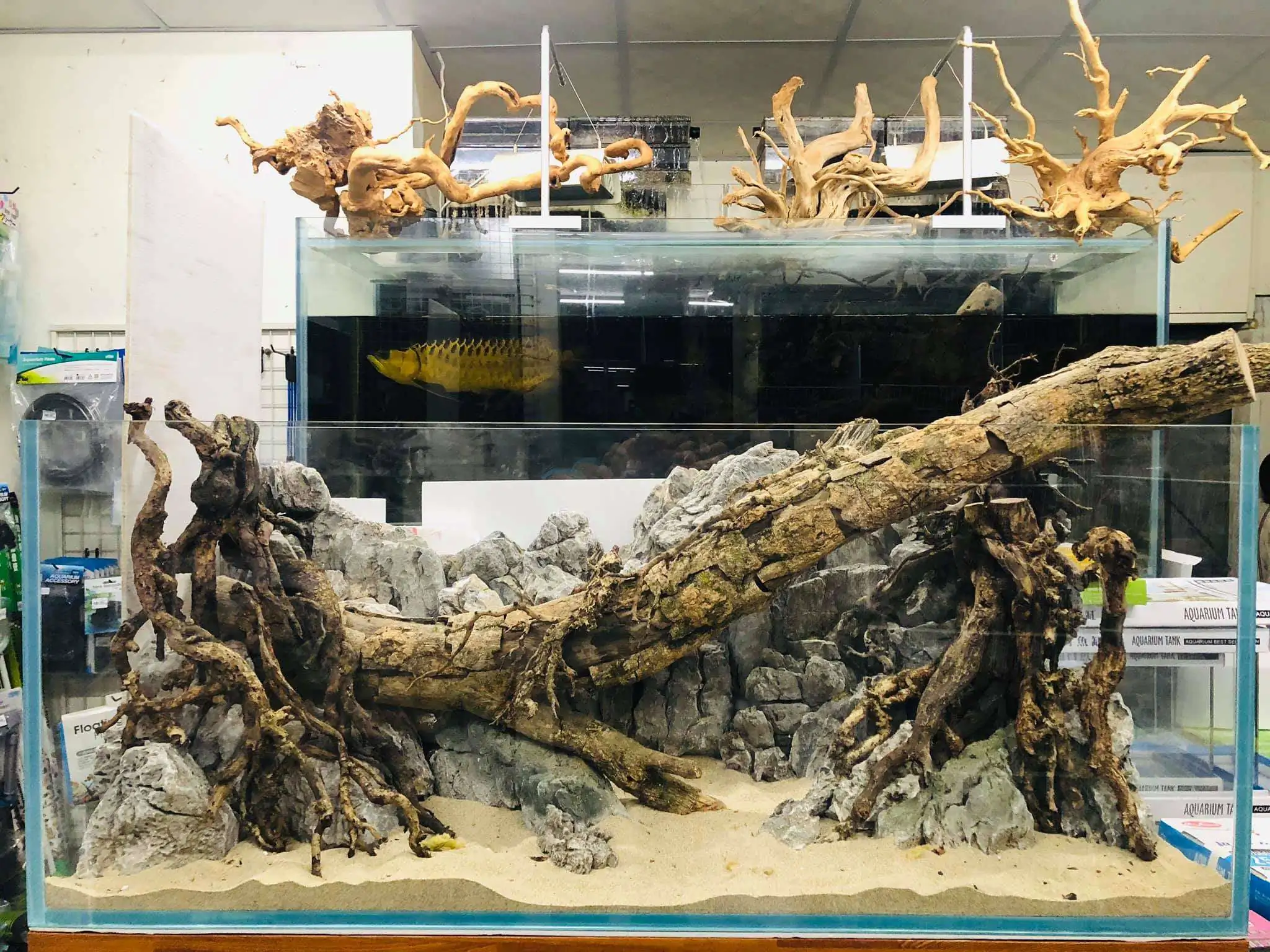 Step by step progression IAPLC 2020 Rank 6 - Traverse