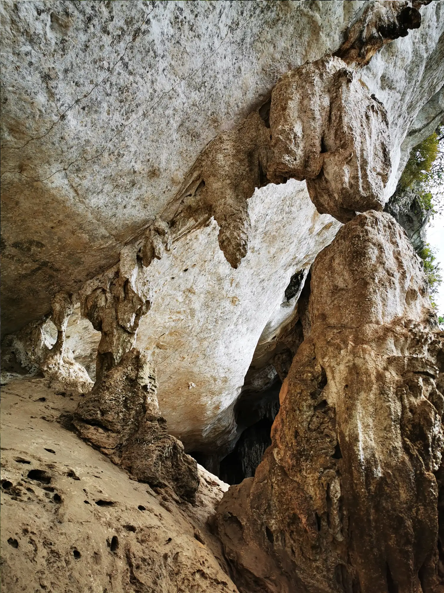 Step by step progression IAPLC 2020 GrandPrize - Eden