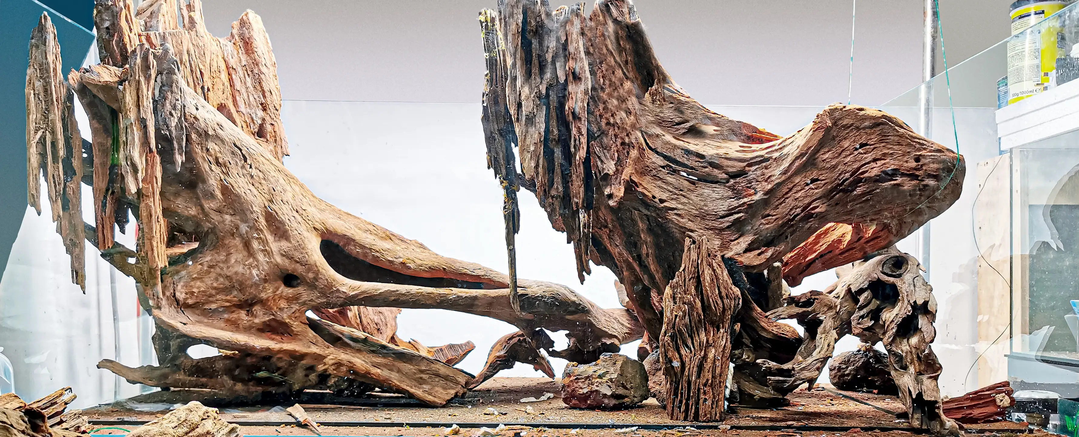 Step by step progression IAPLC 2020 GrandPrize - Eden