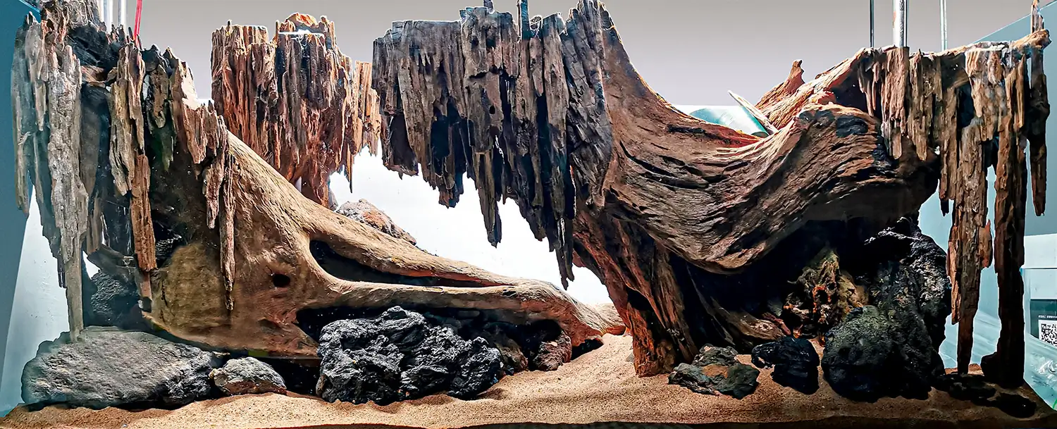 Step by step progression IAPLC 2020 GrandPrize - Eden