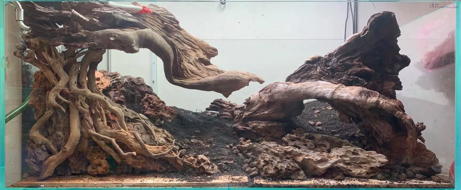 How to make nature aquarium - IAPLC 2021 - Follow Him