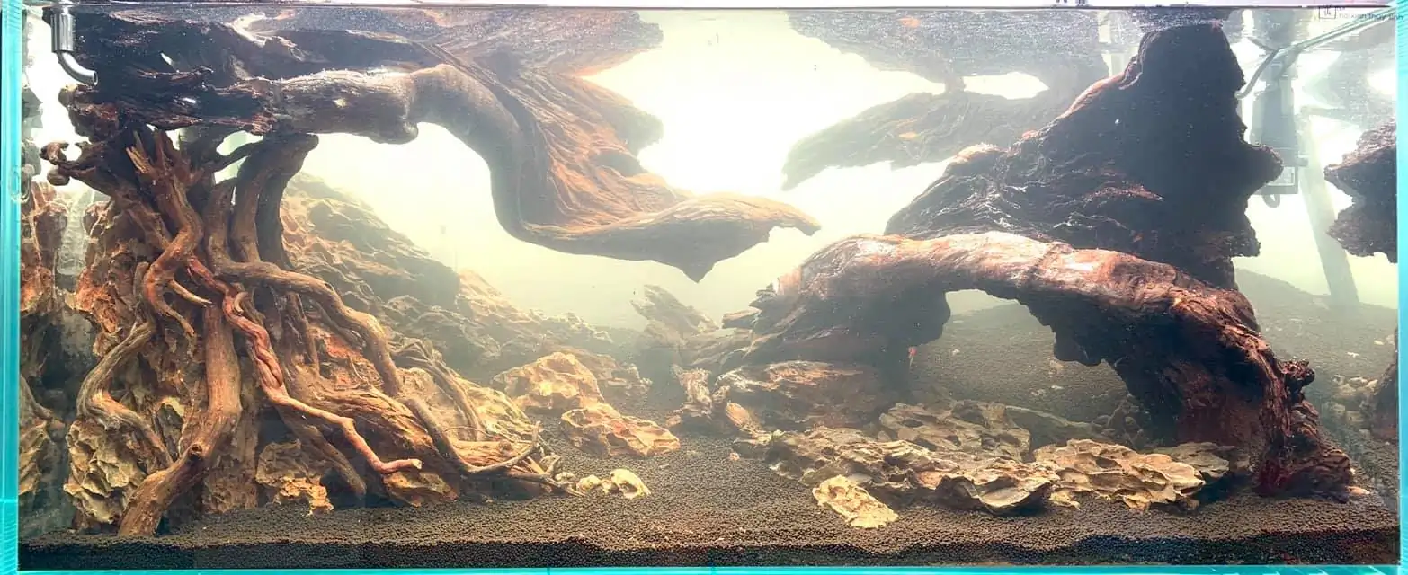 How to make nature aquarium - IAPLC 2021 - Follow Him