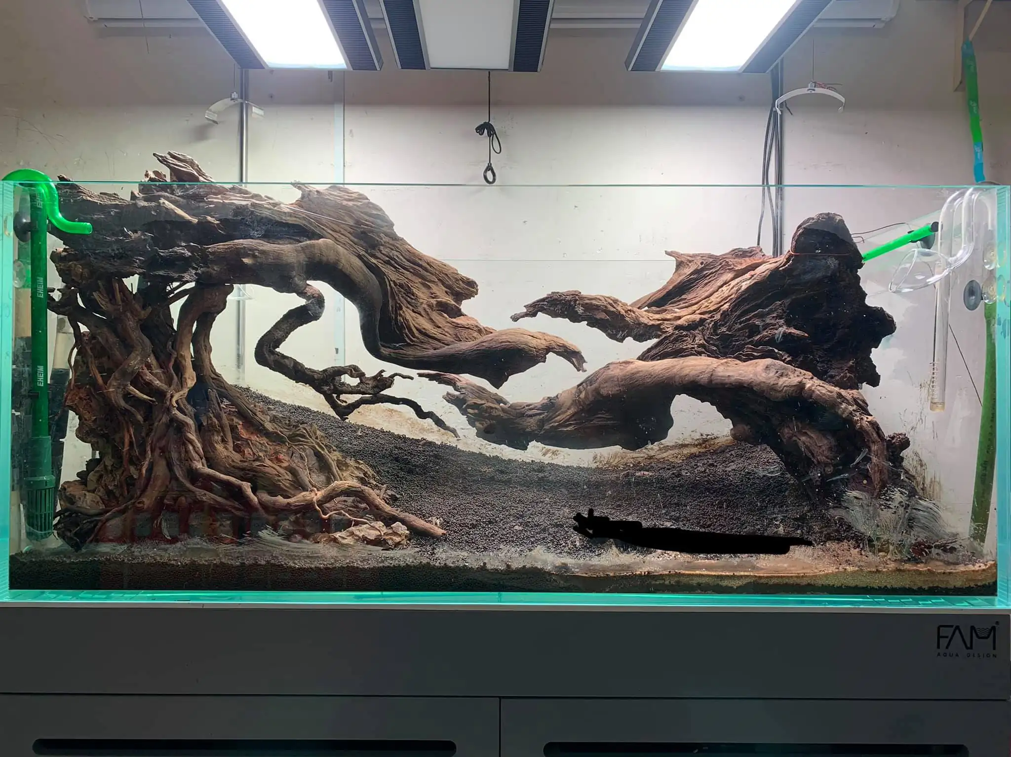 How to make nature aquarium - IAPLC 2021 - Follow Him