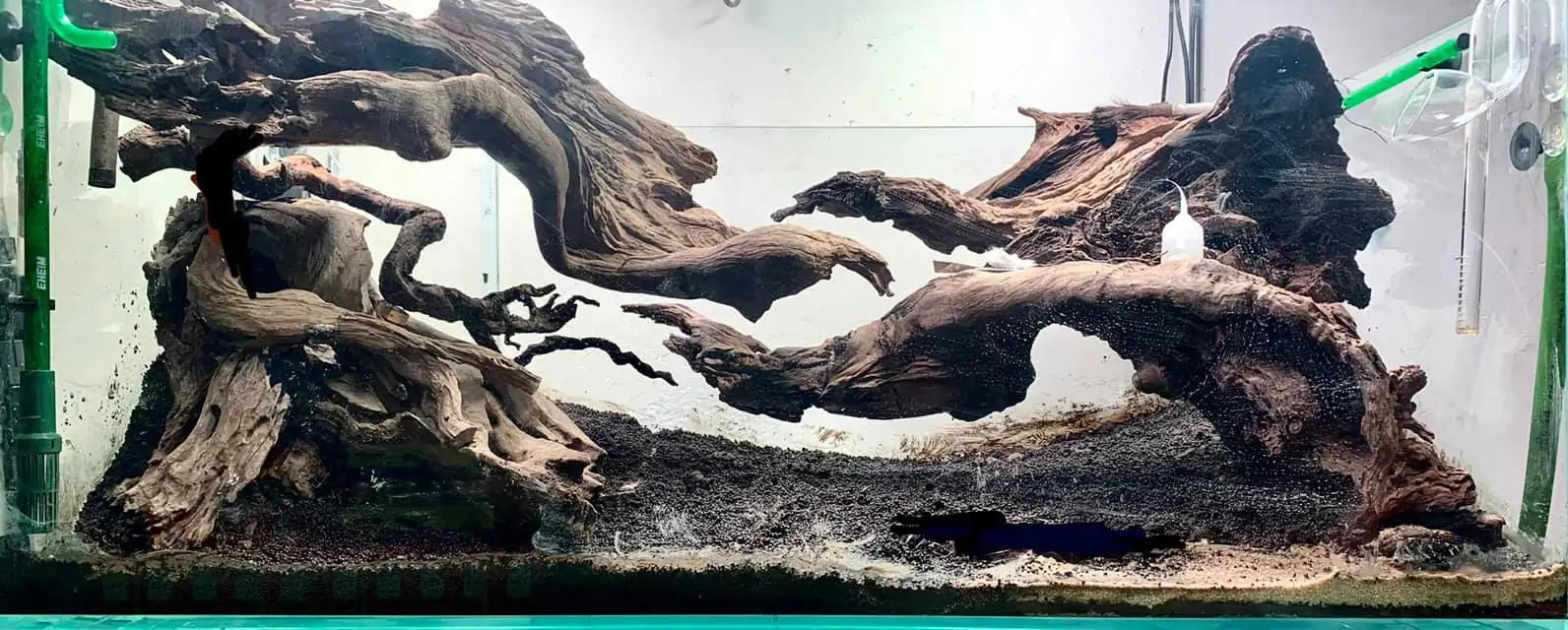 How to make nature aquarium - IAPLC 2021 - Follow Him