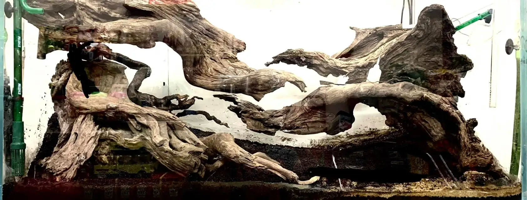 How to make nature aquarium - IAPLC 2021 - Follow Him