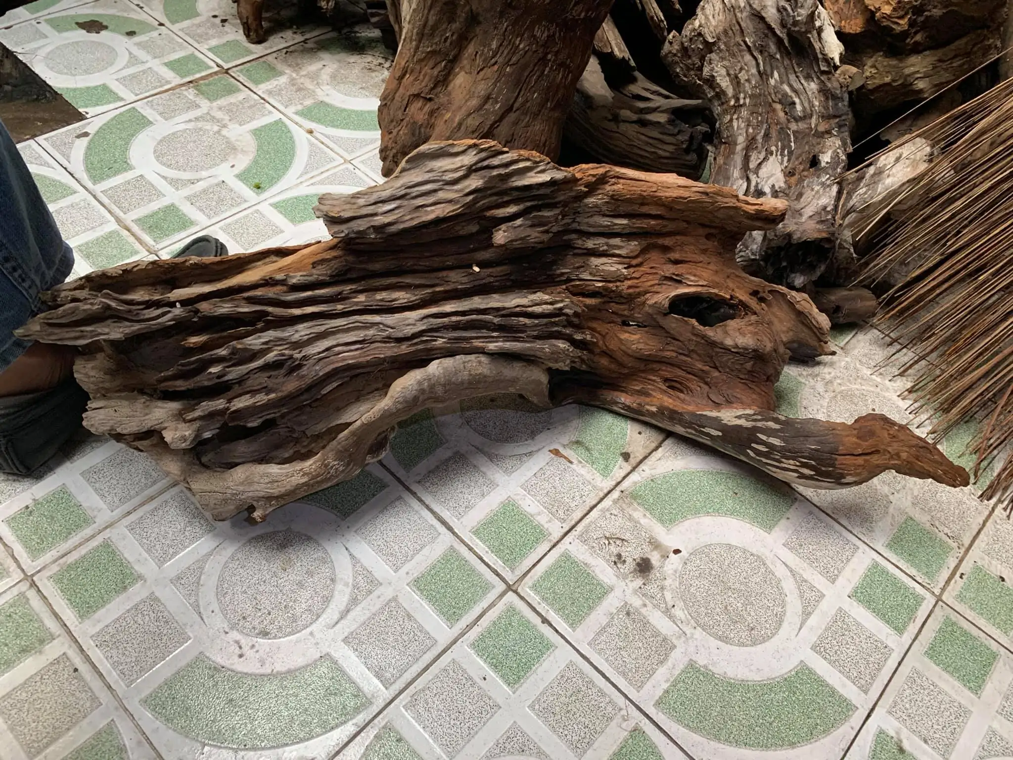 How to make nature aquarium - IAPLC 2021 - Follow Him