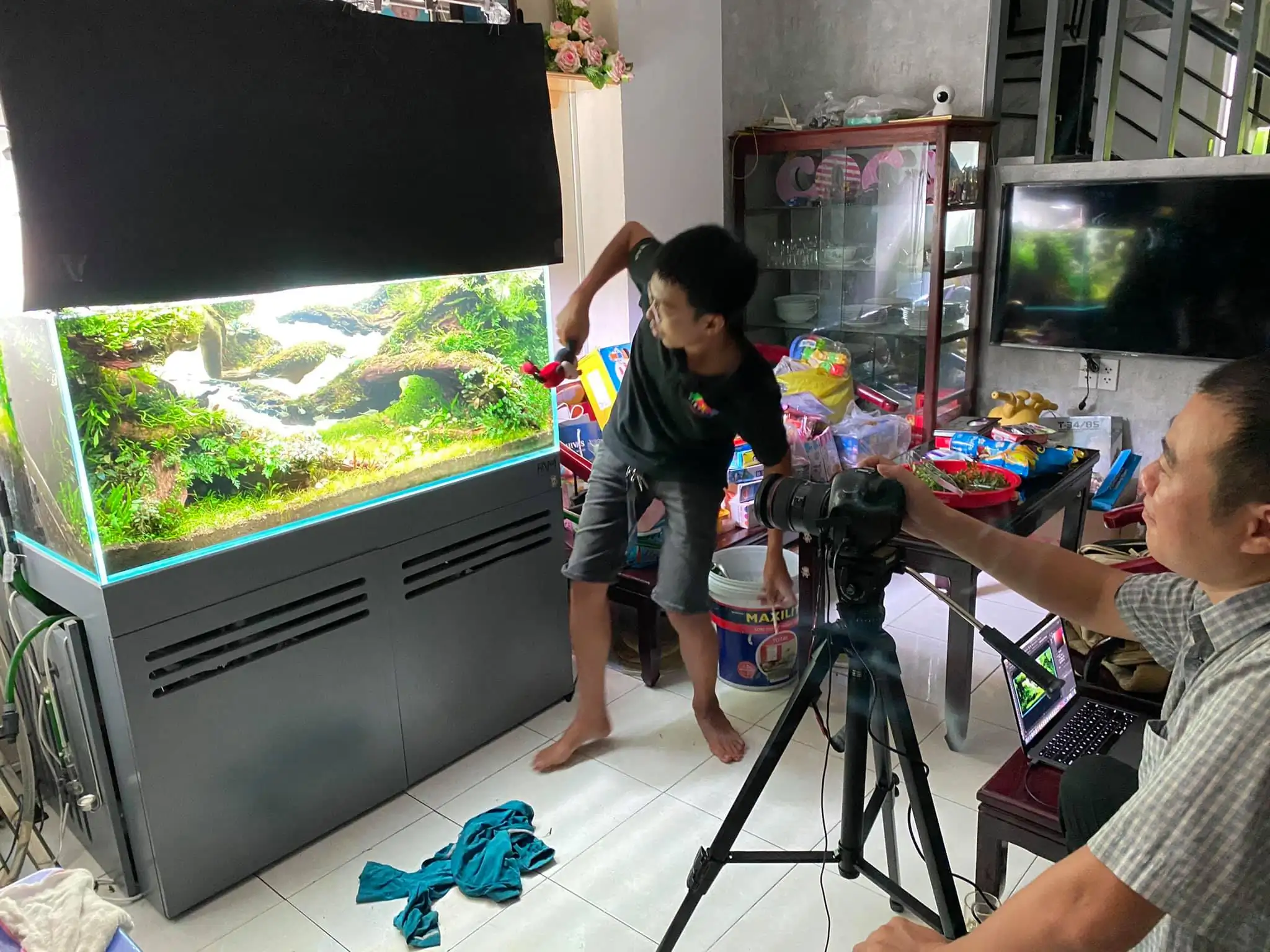 How to make nature aquarium - IAPLC 2021 - Follow Him