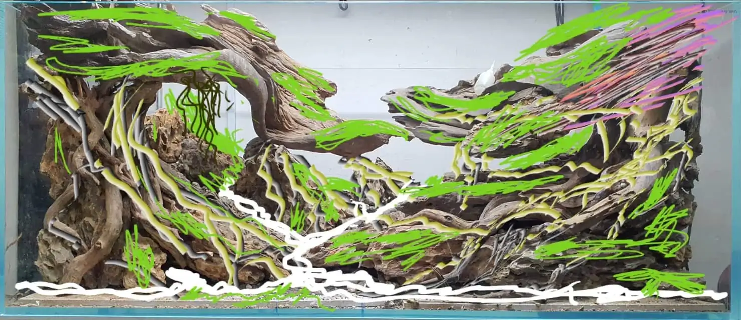 How to make nature aquarium - IAPLC 2021 - Follow Him